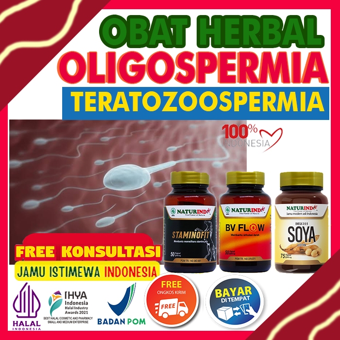 Obat Herbal Teratozoospermia Asthenozoospermia Oligospermia Azoospermia Asthenoteratozoospermia Prom
