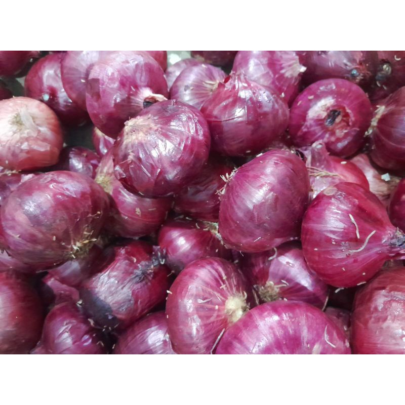 

Bawang Merah India/Bawang Peking 1kg.