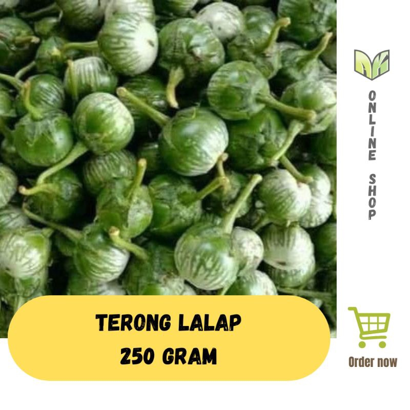 

Terong Lalap Hijau 250 Gram