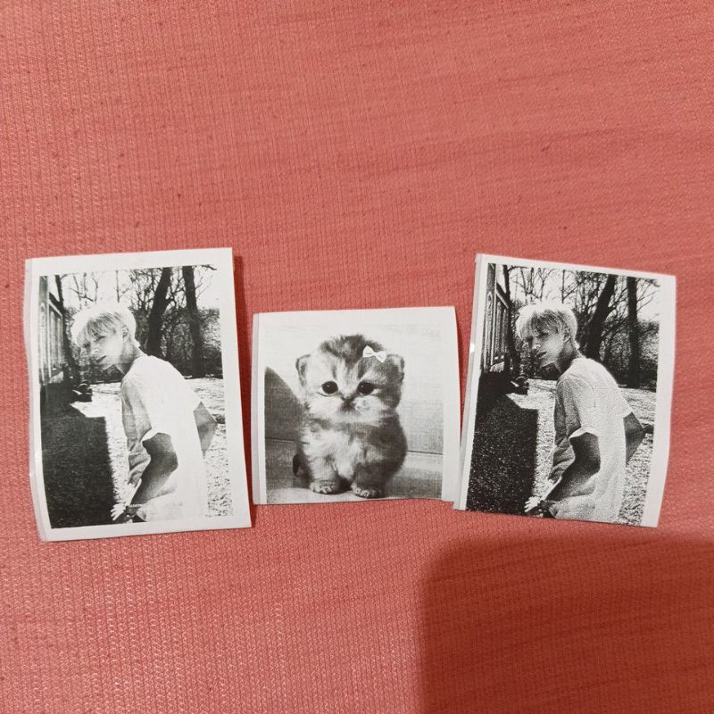 

Custom foto stiker idol, teman, saudara, dan hewan [cek deskripsi]