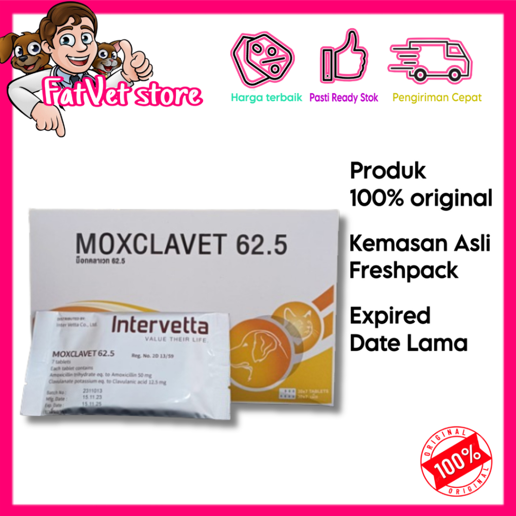Moxclavet 62.5mg antibiotik anjing kucing mirip clavamox per 1 strip