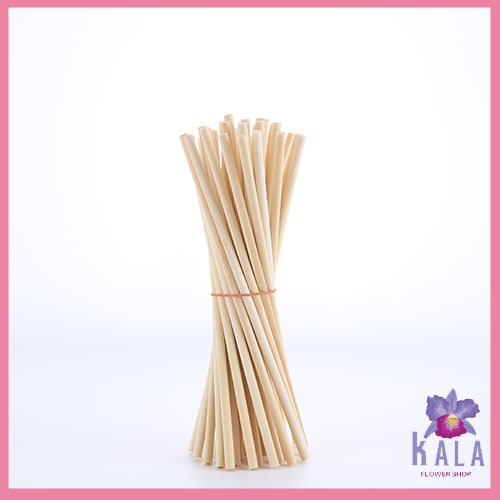 10 pcs Stick bambu jumbo Tusuk Bambu sate tusuk buket bunga Tusuk Buket Uang Kb53
