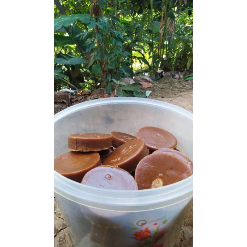

Gula aren/kawung asli 100%