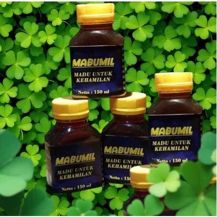 

MADU PROMIL MABUMIL MADU KEHAMILAN SOLUSI SEHAT IBU HAMIL MADU PROMIL ALAMI bgh