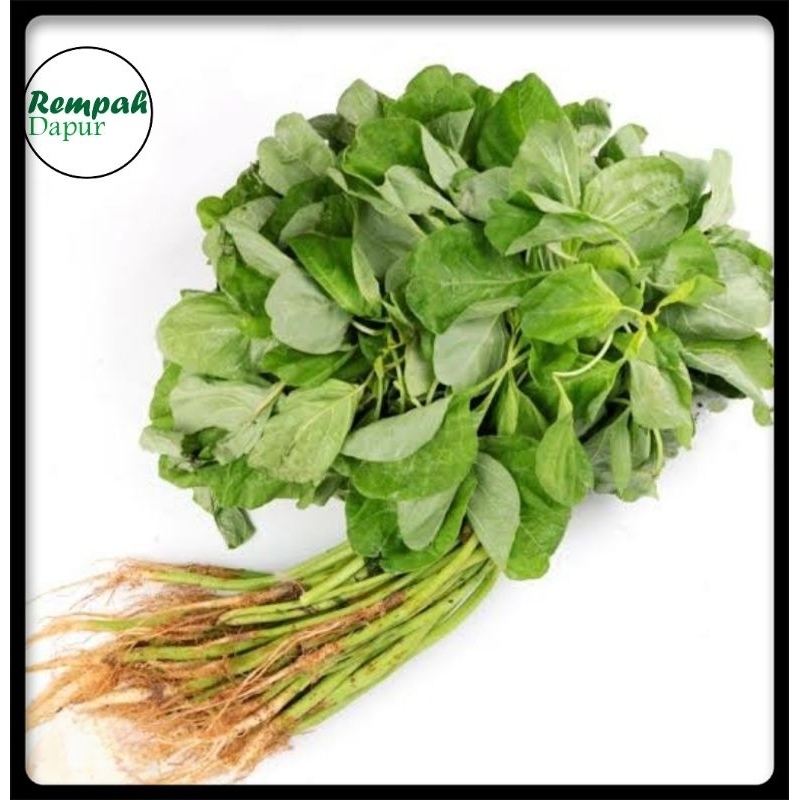 

sayur bayam 1 ikat