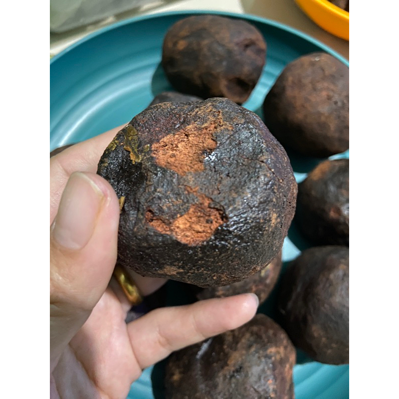 

Gambir Maha Bunga Medan