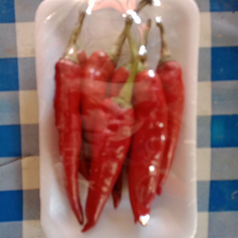 

cabe merah tanjung