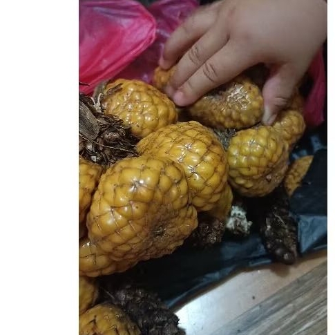 

ASAM KELUBI