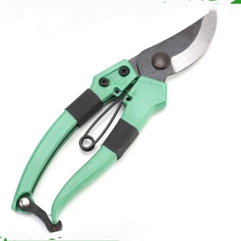 Gunting Dahan Bengkok