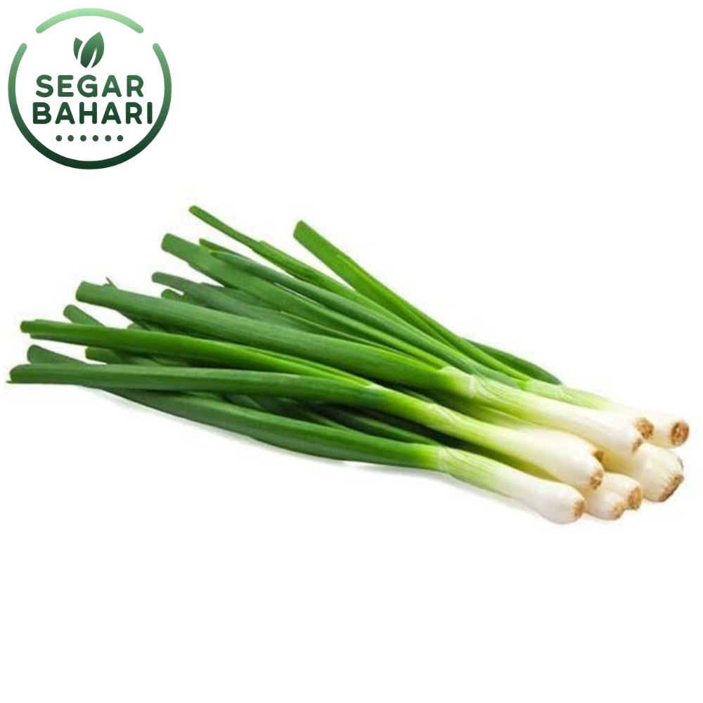

Segar Bahari Daun Bawang 100Gr / Daun Bawang