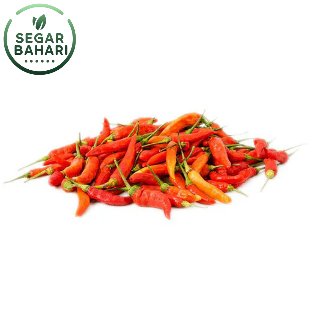 

Segar Bahari Cabe Rawit Merah 100Gr / Cabai Rawit Merah
