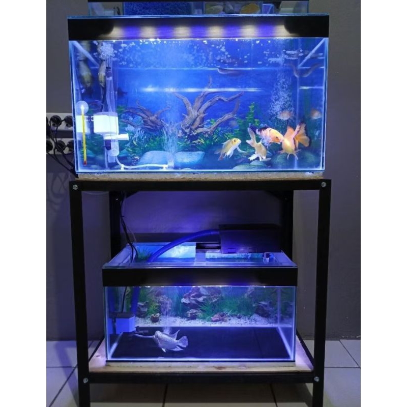 Rak aquarium P60cm L30cm T60cm 2 susun rak susun besi tempat penyimpanan rak besi rak aquarium rak