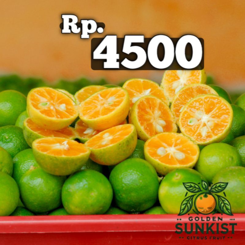 

Jeruk sonkit kasturi