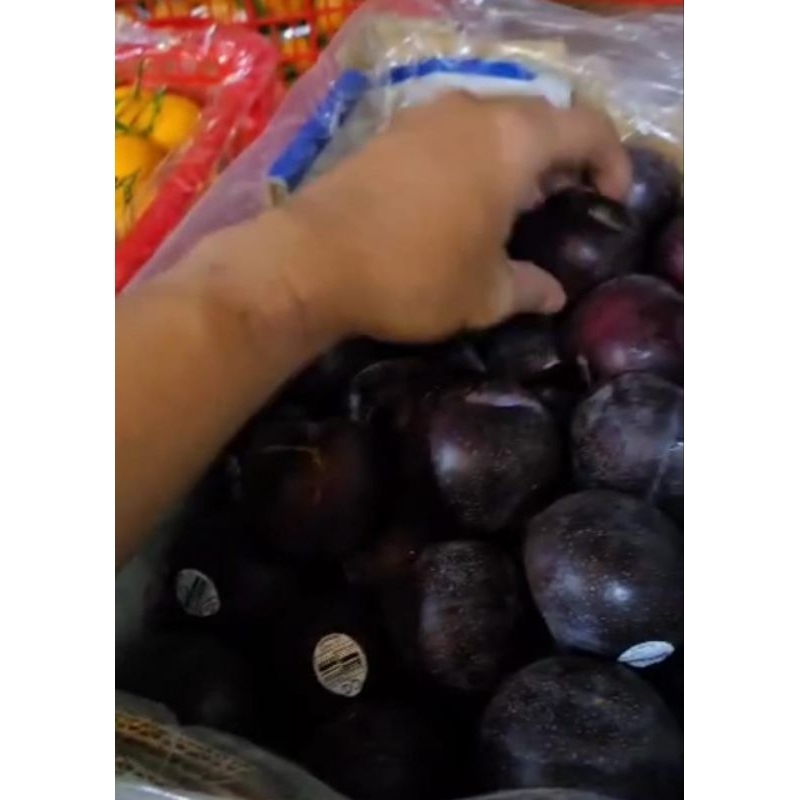 

Buah Plum Fresh Import Perkilo