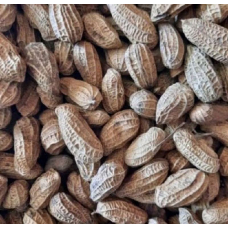 

Kacang kulit oven 1kg