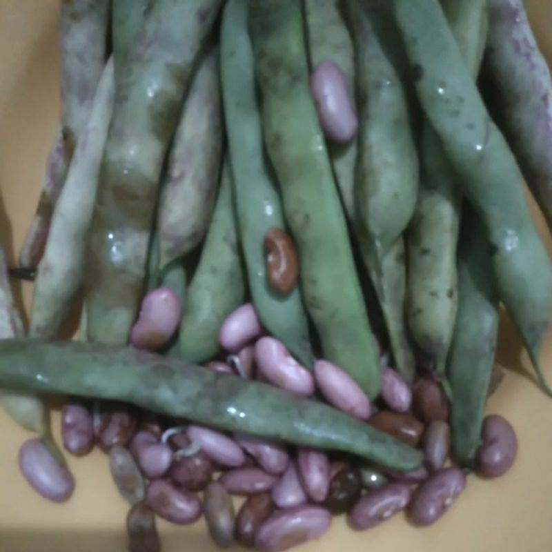

Sayur kacang Merah Kidneybean