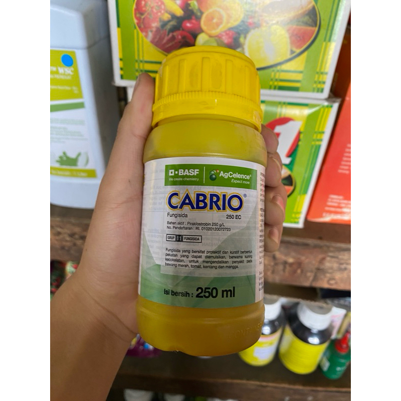 FUNGISIDA CABRIO 250EC 250 ML