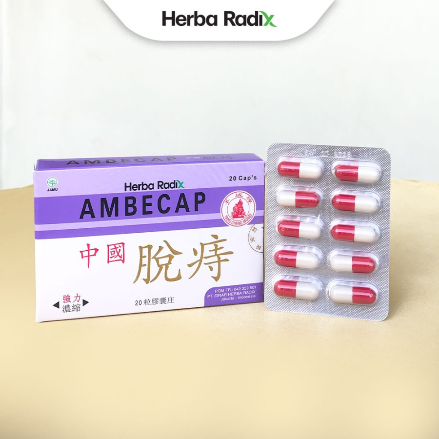 Ambecap (Zhongguo Moschus TUOGE) Obat Herbal Meringankan Wasir ambeien