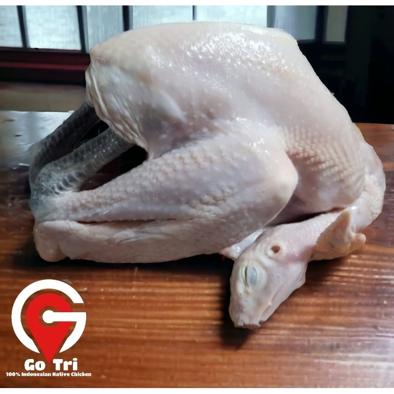 

Ayam Kampung Asli Organik Bersertifikat Halal MUI Frozen Fresh Healty