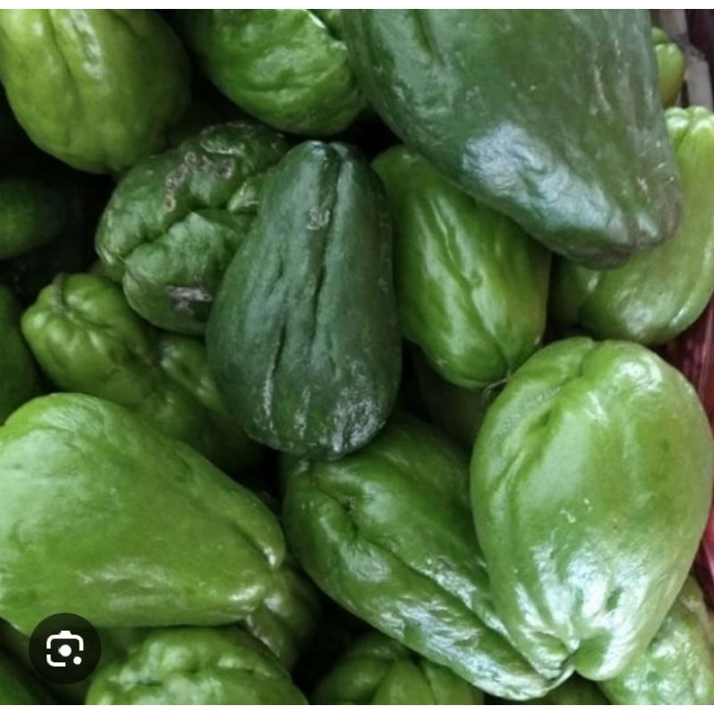 

LABU JIPANG BESAR /LABU SIAM 1 BUAH