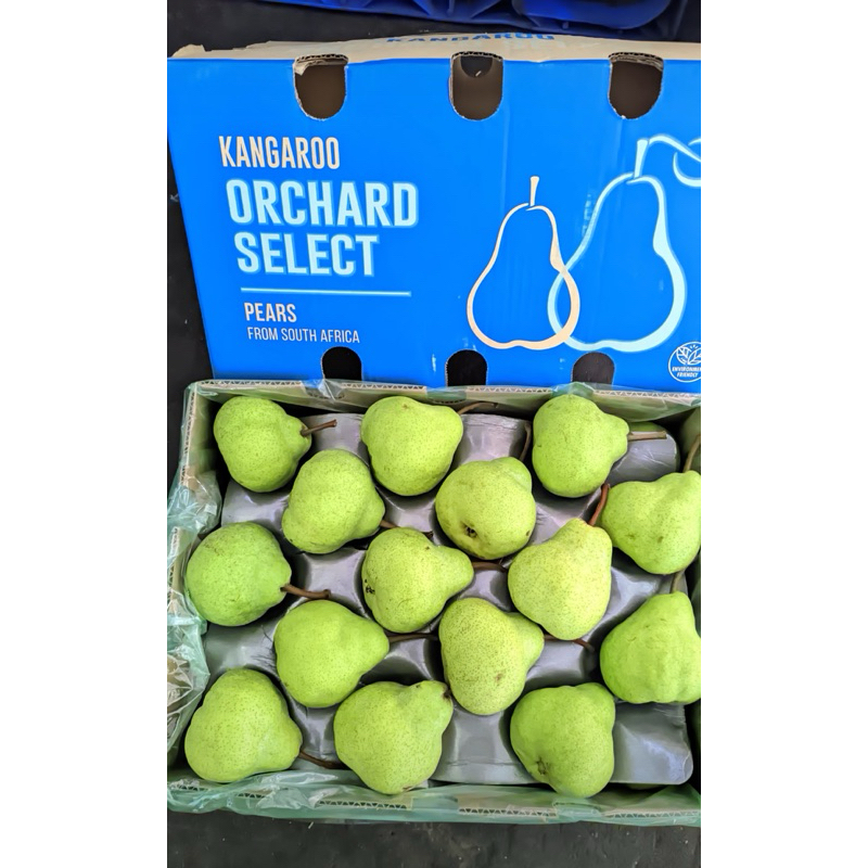 

PEAR PACKHAM AFRICA KINGTREE S^60
