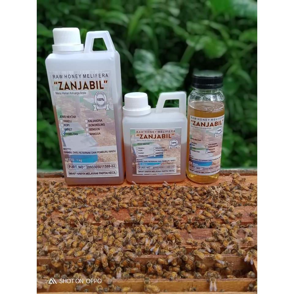 

Madu Zanjabil 100% Murni Asli
