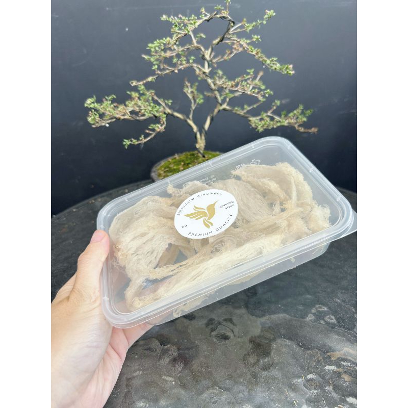 

SARANG WALET BERSIH PATAHAN