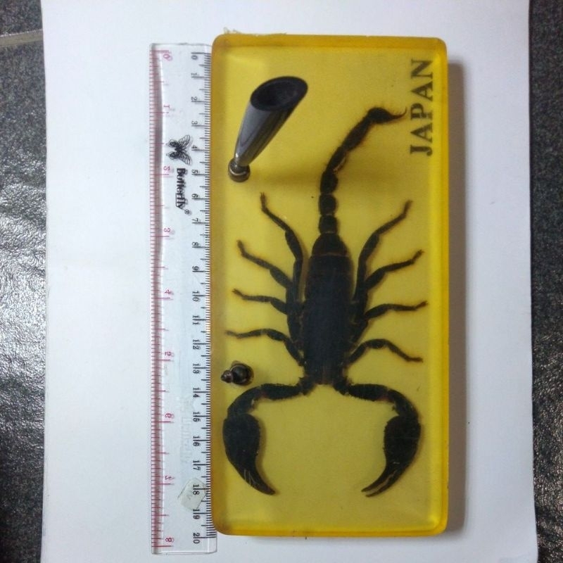 

vintage pen holder scorpio japan second