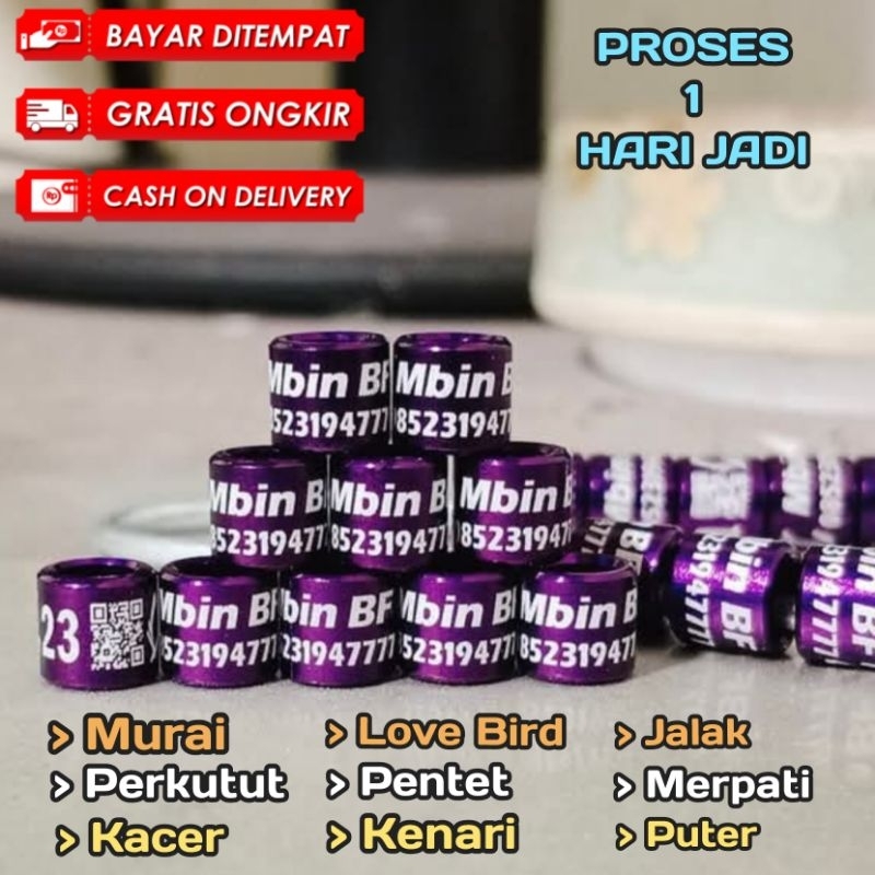 GELANG BURUNG LASER GELANG BURUNG KACER GELANG BURUNG KENARI GELANG BURUNG MURAI GELANG BURUNG MURAI