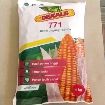TERPOPULER PROMO BENIH JAGUNG HIBRIDA DEKALB 771 DK 771 KEMASAN 1KG ORIGINAL