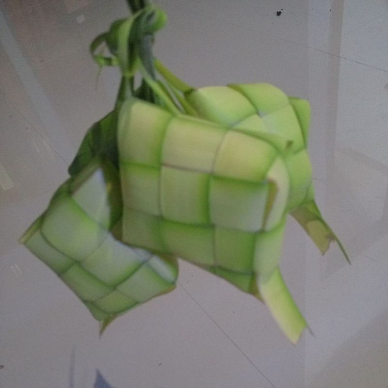 

janur kuning bahan ketupat 20 pcs...