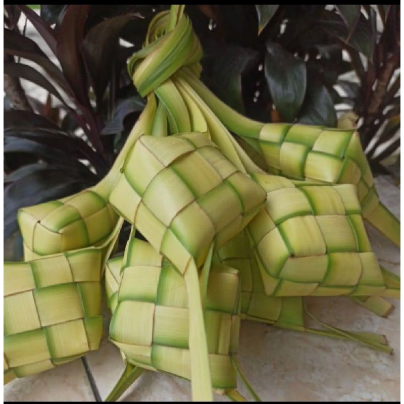 

Sarang Ketupat Segar (khusus wilayah medan)