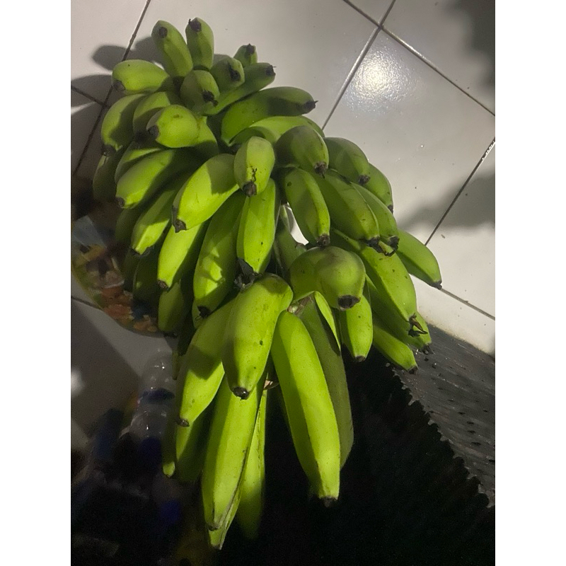 

Buah Pisang Matah Alt Bck 1 Pcs Pisang Mentah
