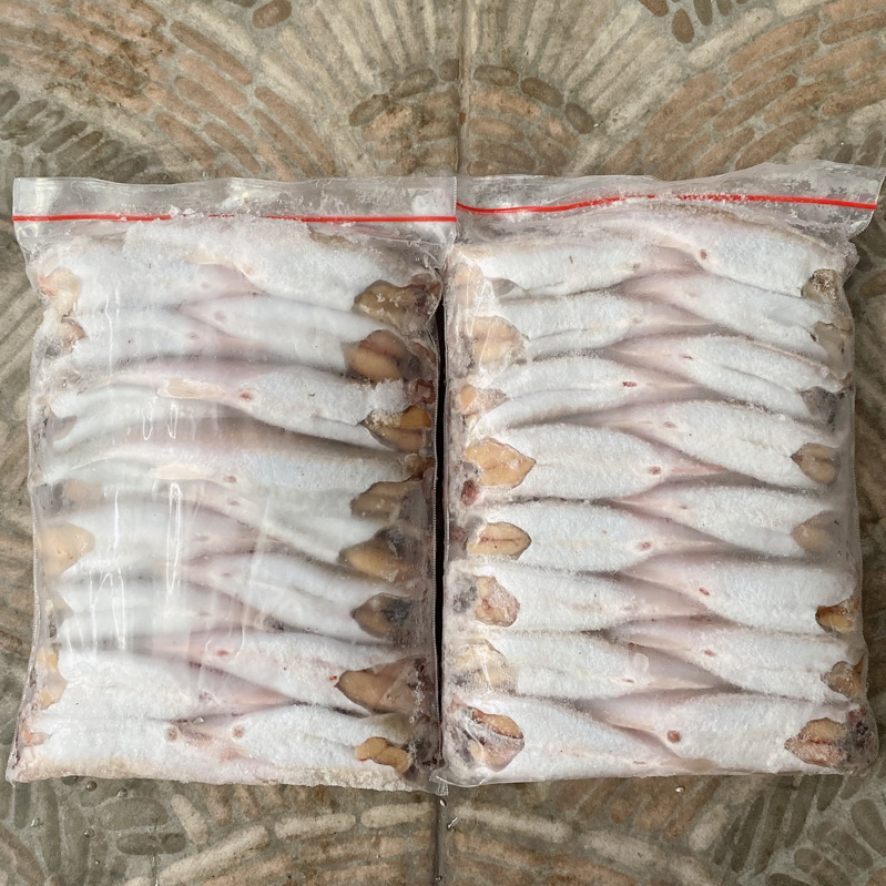 

Ikan belanak full telur frozen 500 gram