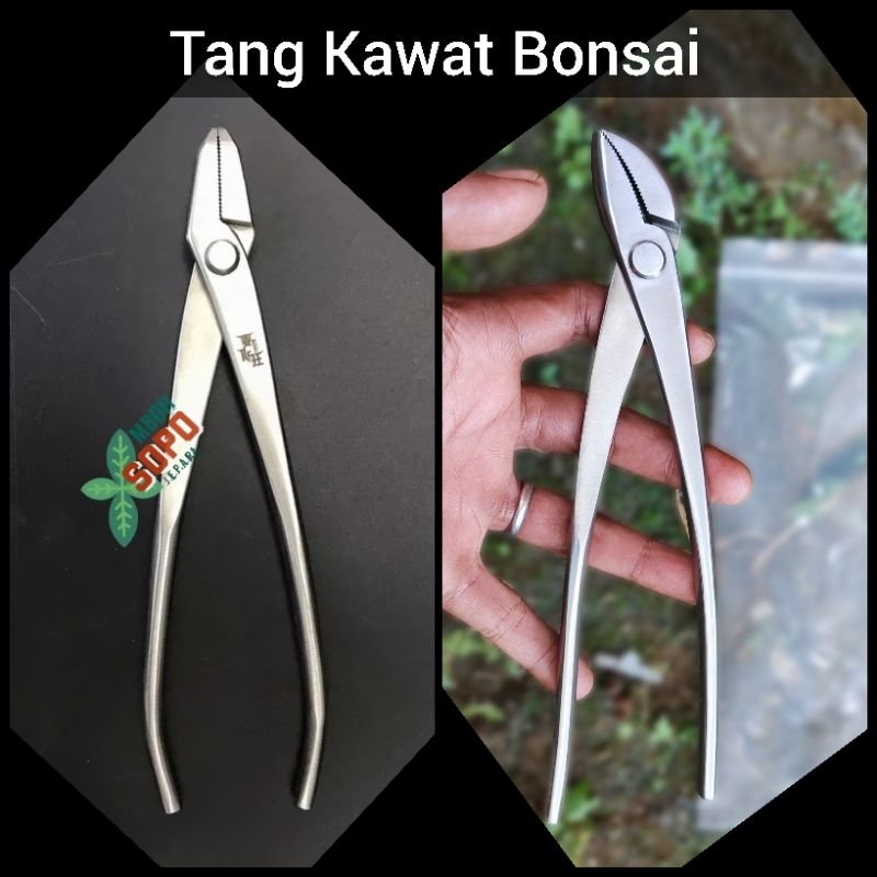 Alat Bonsai, Tang Kawat Bonsai / Tang Jin Import Stenlis, 21 cm