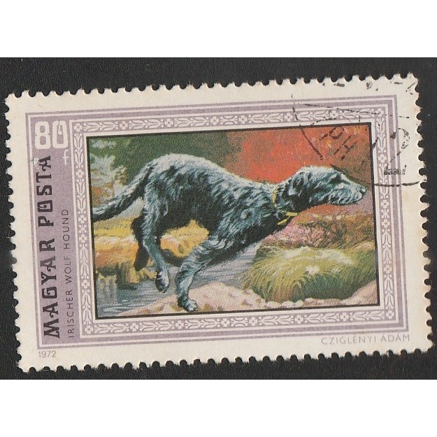 

A 11549 SATU BUAH PRANGKO HONGARIA NOMINAL 80 FORINT TEMA SATWA IRICHER WOLF DENGAN KONDISI SUDAH ADA CAP