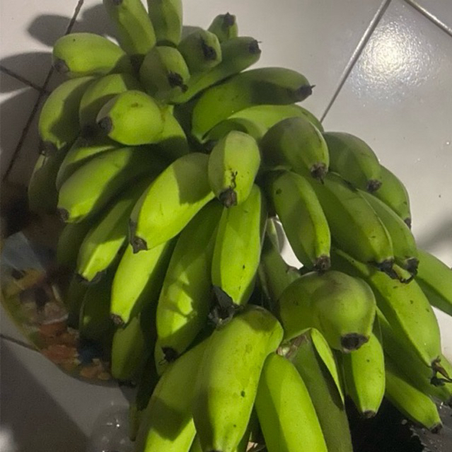 

Buah Pisang Matah Erbe SL Apl Buah Pisang