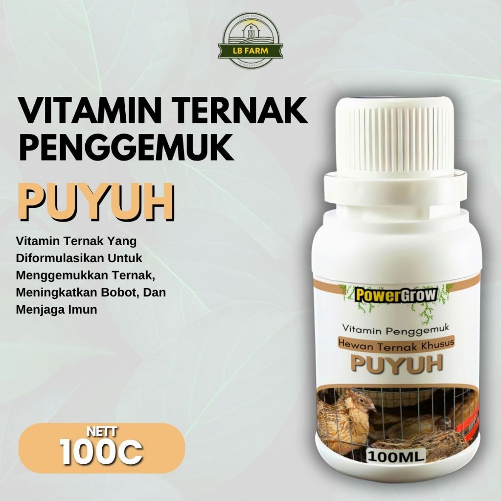 Vitamin Puyuh Agar Cepat Besar Vitamin Burung Puyuh Penambah Berat Badan Vitamin Puyuh Cepat Besar
