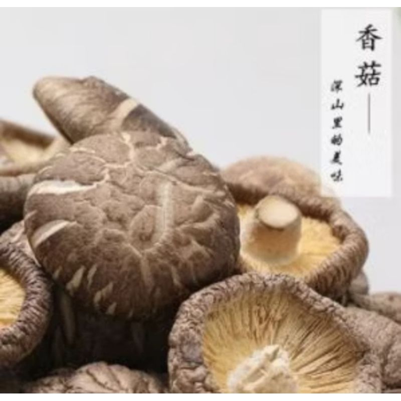 

jamur Hioko Hwaku IKPS size 5-6 repack 250gr