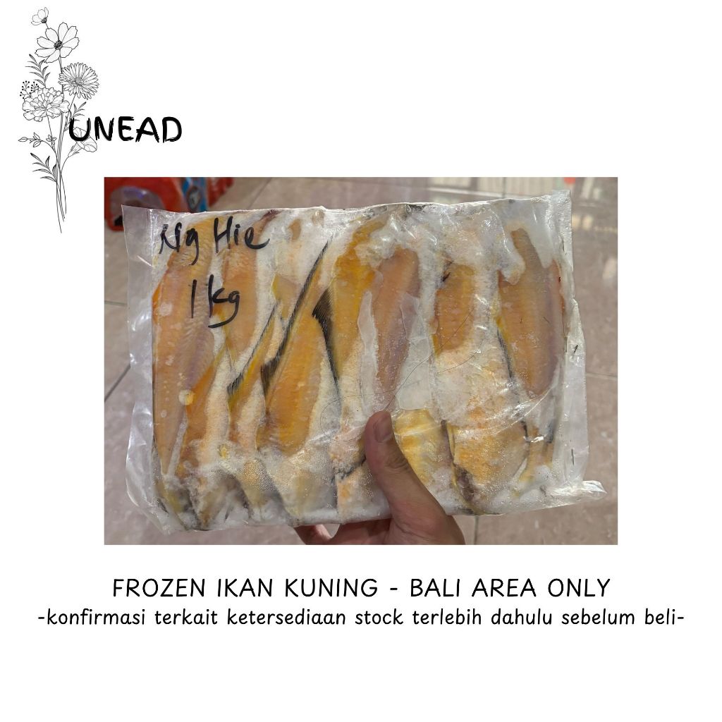 

IKAN KUNING BEKU - FROZEN FOOD - BALI AREA ONLY