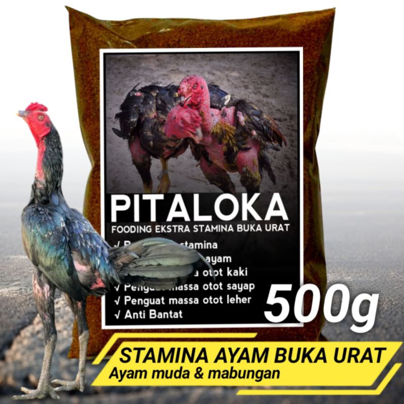 doping tenaga ayam Pama Mangon pakhoy