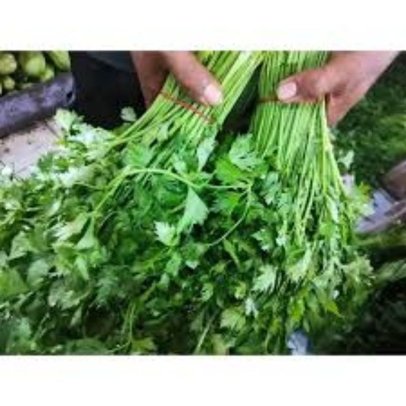 

daun sup berat 100 gram