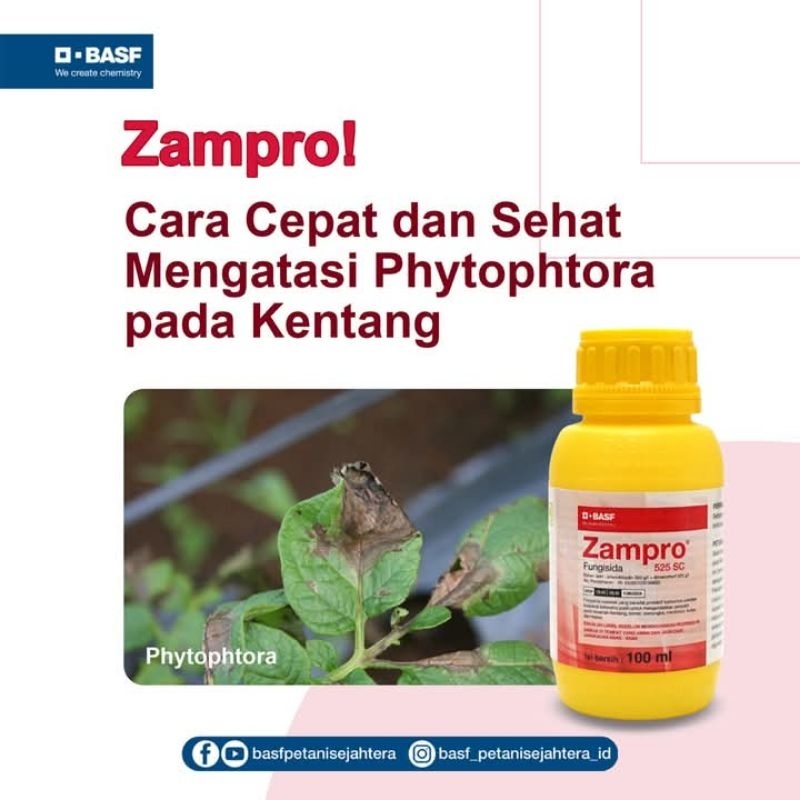 Zampro® 525 SC
Fungisida

