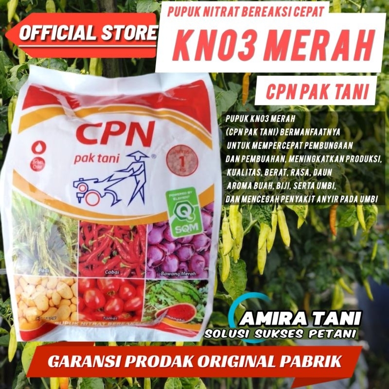Kno3 merah pak tani 1kg