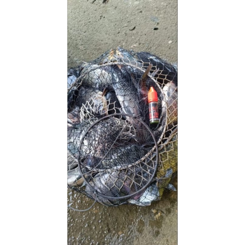 

ESSENCE BANYU FISHING
