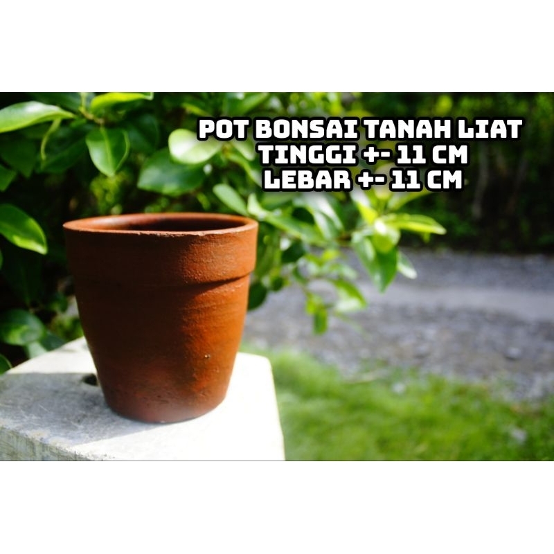 POT tanah liat BONSAI BUNGA