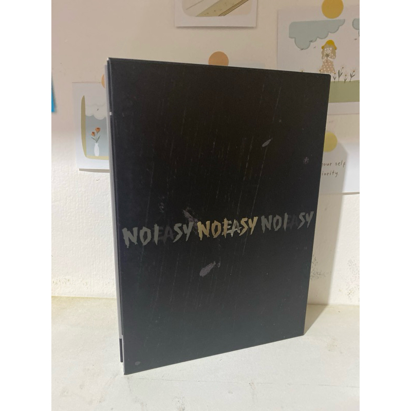 PRELOVED STRAY KIDS ALBUM NOEASY