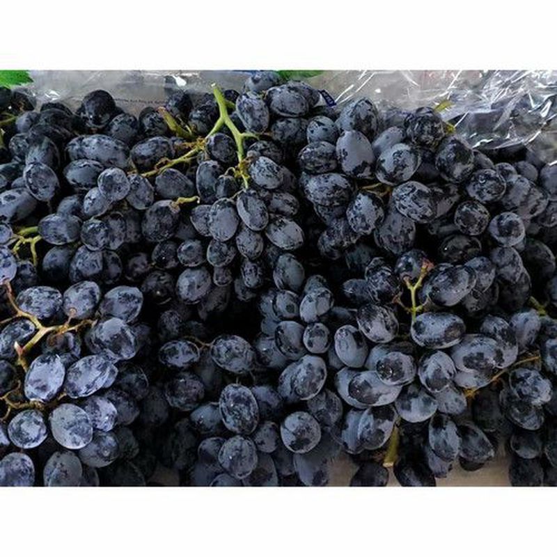

Anggur Black Autom Manis Segar / Anggur Import