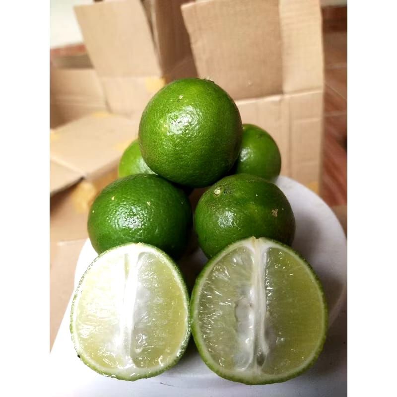 

JERUK NIPIS BERATI 1 KG