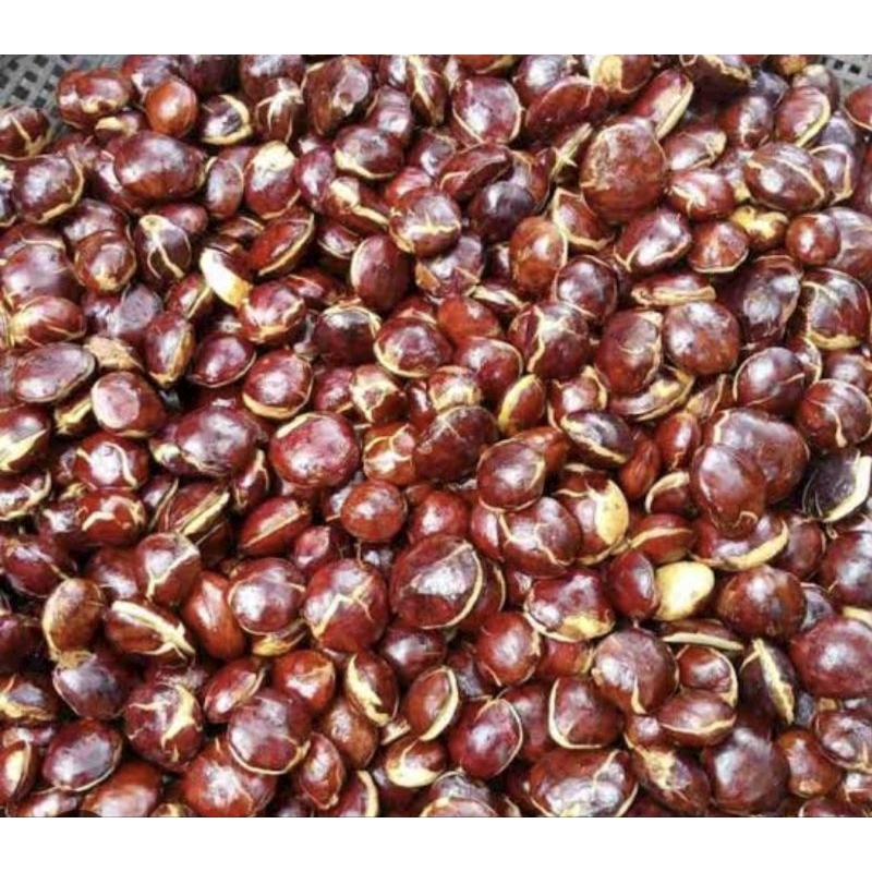 

jengkol tua 250gram-500gram